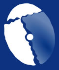 firefox